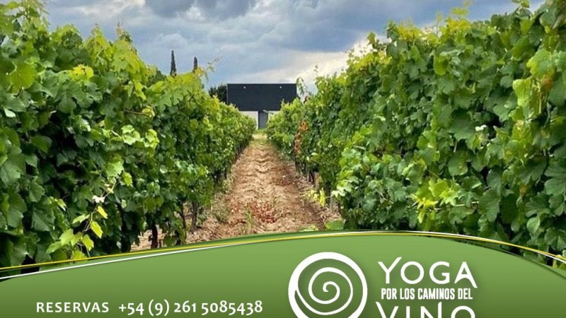 Finca Iral recibe la visita de "Yoga por Los Caminos del Vino"